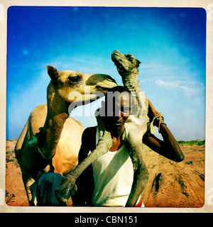 Schwarze Reife Mann, hält Baby Kamelhaar auf seinem Rücken, Lughaya Bereich, Somaliland Stockfoto