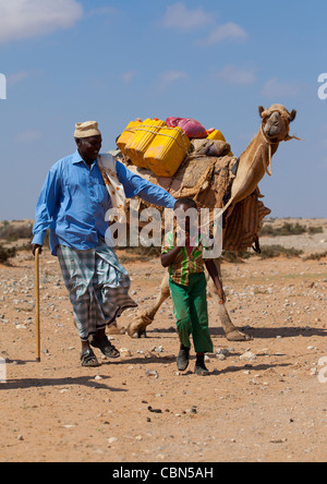 Mann und Youngster den Transport von Wasser auf einem Kamel zurück Dagabur Bereich Somaliland Stockfoto