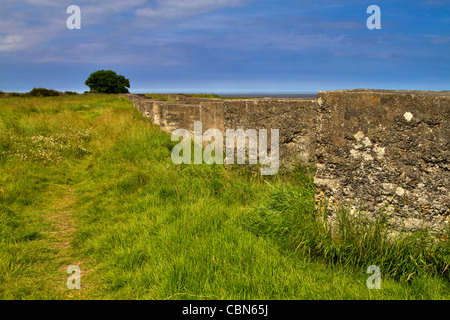 Küstenschutz in Beal, Northumberland. Großen Betonblöcke gesetzt um Tank Invasion im zweiten Weltkrieg zu verhindern. Stockfoto