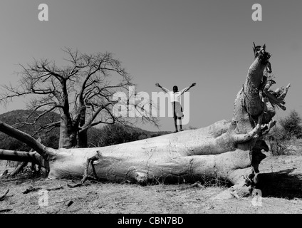 Junge mit seinen Armen bis auf dem Stamm von einem Baobab-Baum, Angola Stockfoto