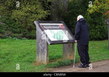 Ein älterer Mann mit einem Spazierstock, der eine Tafel im Westonburt Arboretum, Gloucestershire, England, Großbritannien, ansieht Stockfoto