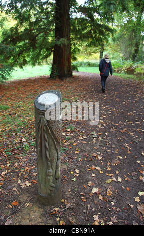 Eine Frau im Westonbirt Arboretum, The National Arboretum, wird von der Forstwirtschaft Kommission Gloucestershire-England Stockfoto