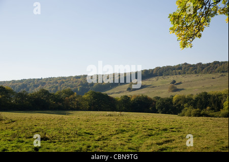 Ranmore gemeinsam mit Blick auf Dorking und Westcott in Surrey im Herbst Stockfoto
