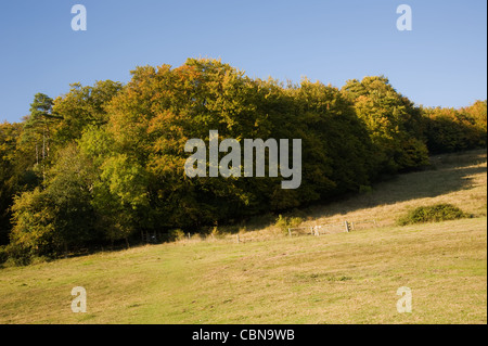 Ranmore gemeinsam mit Blick auf Dorking und Westcott in Surrey im Herbst Stockfoto