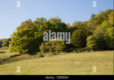 Ranmore gemeinsam mit Blick auf Dorking und Westcott in Surrey ein Herbst Stockfoto