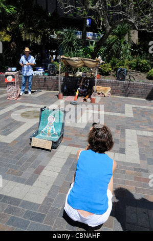 Ein Aborigine-Straßenmusiker spielt sein Didgeridoo vor seiner Schlange als Touristenattraktion am Circular Quay in Sydney, New South Wales, Stockfoto