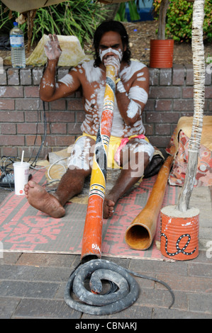 Ein Aborigine-Straßenmusiker spielt sein Didgeridoo mit einer Schlange als Touristenattraktion am Circular Quay in Sydney, Australien Stockfoto