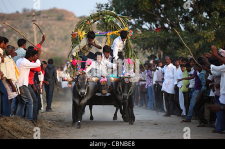 Bullock Cart Rennen und Menge Anantapur Bezirk in Süd Indien Andhra Pradesh Südindien Stockfoto