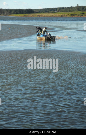 Ein paar Fischer arbeiten ihre Aufgaben in North Lake Harbor, Prince Edward Island. Kanada. Stockfoto