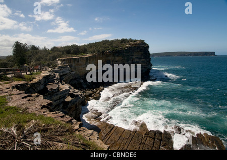 GAP Bluff in Watsons Bay in Sydney Habour. Die hohen Klippen sind Teil des Sydney National Park, New South Wales, Australien. Stockfoto