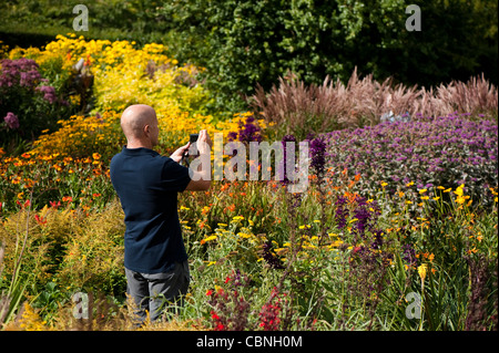 Mann mit dem Fotografieren in der heißen Garten im September, RHS Rosemoor, Devon, England, Vereinigtes Königreich Stockfoto