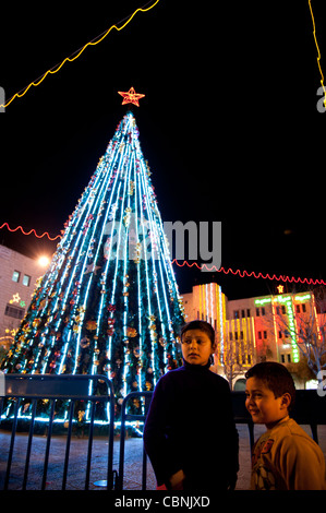 Kinder verweilen in der Nähe von einem Weihnachtsbaum Beleuchtung Krippenplatz in der West Bank von Bethlehem. Stockfoto