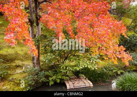 Autmn oder Herbst Farbe an einem Bach auf dem Gelände des Tenryu-Ji-Tempel in Arashiyama, am Stadtrand von Kyoto, Japan. Stockfoto