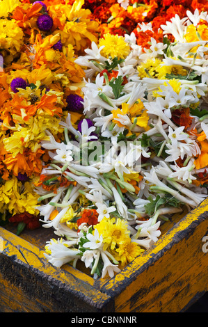 Indische blumen Girlanden für Verkauf erfolgt an einem indischen Markt. Andhra Pradesh, Indien Stockfoto