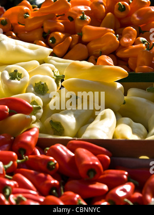 Chilischoten auf dem freien Markt Stockfoto