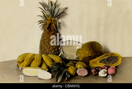 Stillleben mit tropischen Früchten Stockfoto