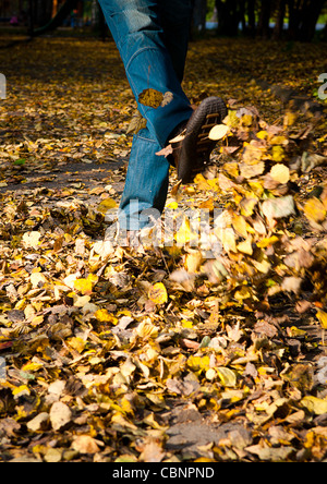 Füße zu Fuß durch bunte Herbstlaub auf dem Boden. Stockfoto