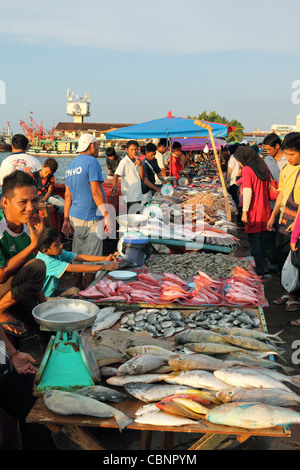 Frische Meeresfrüchte zu verkaufen in Kota Kinabalu Waterfont nassen Markt. Stockfoto