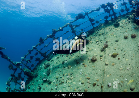 Weibliche Taucher schwimmen über ein Schiffswrack im südlichen Roten Meer, Ägypten Stockfoto