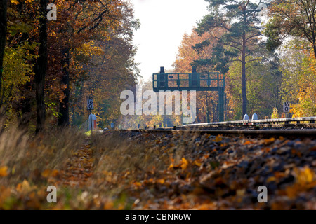 Eine Grundhöhe Landschaft Schuss von Eisenbahnschienen laufen durch einen bunten Herbst-Wald in Berlin, Deutschland. Stockfoto