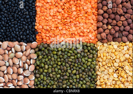Hülsenfrüchte, Samen, Bohnen und Linsen Muster Stockfoto
