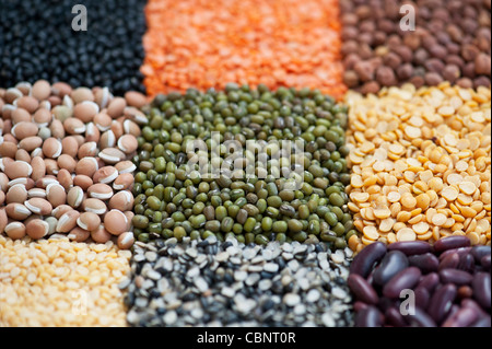 Hülsenfrüchte, Samen, Bohnen und Linsen Muster Stockfoto