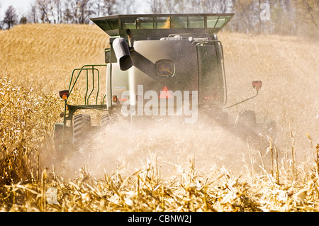 Ein Mähdrescher Kommissionierung Mais in einer Wolke aus Staub. Stockfoto