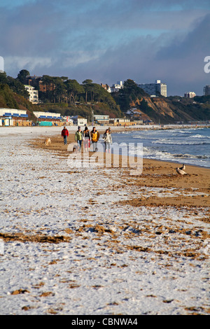 Wobei der Hund für einen Spaziergang mit Schnee am Strand von Bournemouth im Dezember Stockfoto