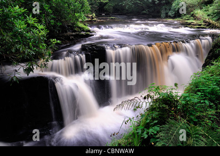 Clare Glens Wasserfall fällt Szene entlang der Clare-Fluss fließt Newport County Tipperary Limerick Grenze Irland landschaftlich Stockfoto