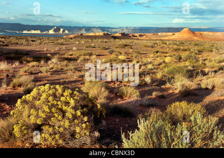 Wüste Utah, Sandsteinformationen, Lake Powell , Glenn Canyon Stockfoto