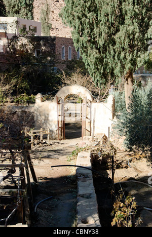 St. Katharinen Klostergarten - Sinai-Halbinsel, Ägypten Stockfoto