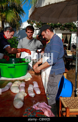 Landsleute Schweinedarm mit Hackfleisch und Gewürzen befüllen, um Würstchen, Ibiza traditionelle Schwein Schlachten machen Stockfoto