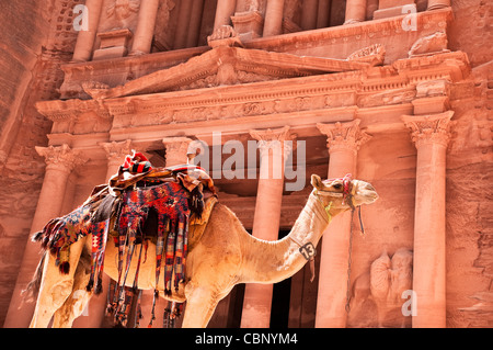 Blick auf die Petra Schatzkammer mit Kamel im Vordergrund Stockfoto