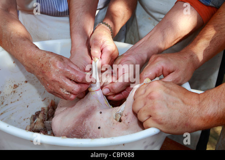 Landsleute Schweinedarm mit Hackfleisch und Gewürzen befüllen, um Würstchen, Detailansicht machen Stockfoto