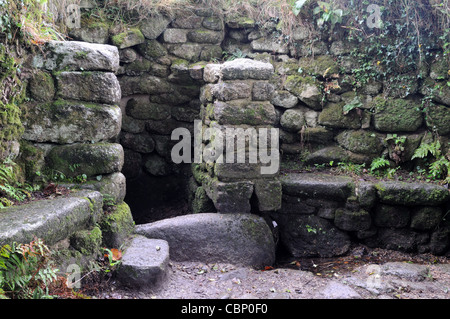 Madron auch keltische Kapelle Baptisterium gewidmet St Madron Cornwall England UK GB Stockfoto