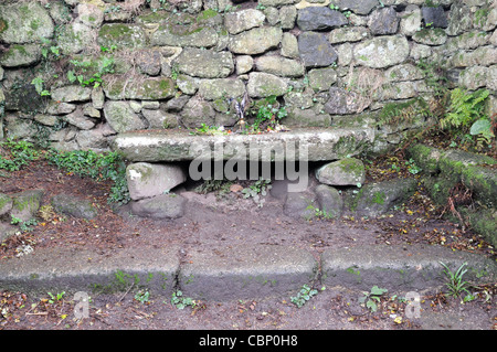 Madron auch keltische Kapelle Baptisterium gewidmet St Madron Cornwall England UK GB Stockfoto