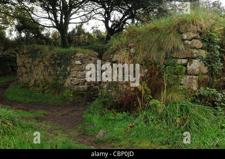 Madron auch keltische Kapelle Baptisterium gewidmet St Madron Cornwall England UK GB Stockfoto