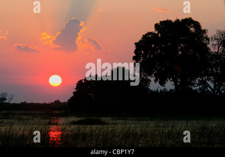 Afrika-Botswana-Sonnenuntergang über Okavangodelta Stockfoto