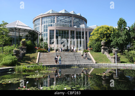 Henry Moore Skulpturen, reflektierenden Teich und Treppe im Atlanta Botanical Garden Stockfoto