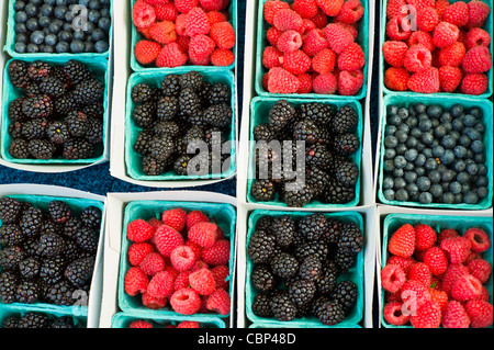 Himbeeren, schwarzen Beeren und Heidelbeeren zum Verkauf auf Markt. Stockfoto