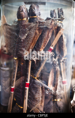 Westlicher Bezirk auf Hong Kong Island hat noch viele traditionelle Geschäfte und Straßen. Getrocknete Geckos werden paarweise verkauft. Stockfoto