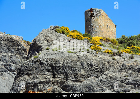 Alte verlassene Mühle in den Bergen, Lasithi Hochebene, Kreta, Griechenland, Mittelmeer, Europa. Stockfoto