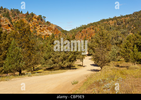 Schroffe Klippen inWarren Schlucht in der Nähe von Loughborough in die Flinders Ranges im Outback South Australia, Australien Stockfoto