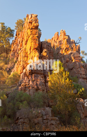 Schroffen Klippen in der Warren Schlucht in der Nähe von Loughborough in die Flinders Ranges im Outback South Australia, Australien Stockfoto