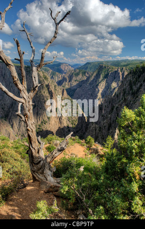 Tomichi Punkt übersehen, Black Canyon des Gunnison Nationalparks, Südrand Stockfoto