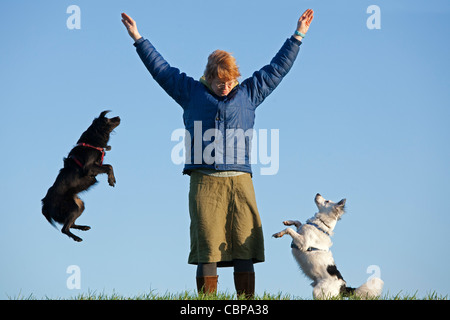 Frau Ausbildung zwei Hunde Stockfoto