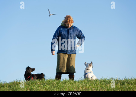 Frau Ausbildung zwei Hunde Stockfoto