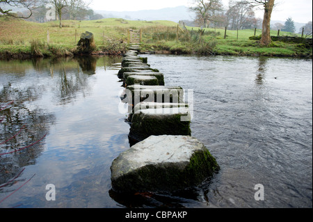 Trittsteine über Fluß Rothay, Lake District, Cumbria Stockfoto