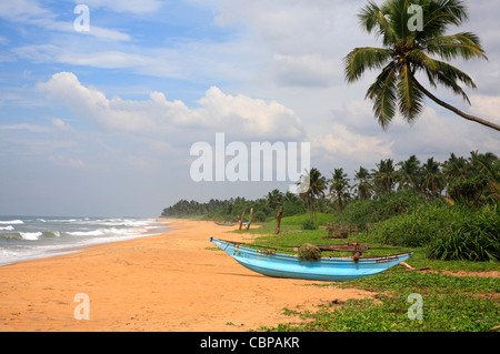 Catarmaran gestrandet auf Küstenlinie Wadduwa indischen Ozean Sri Lanka Asien Stockfoto