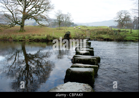 Trittsteine über Fluß Rothay, Lake District, Cumbria Stockfoto